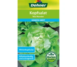 Dehner Samen Kopfsalat 'Mai Wunder'