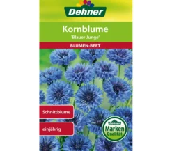 Dehner Samen Kornblume 'Blauer Junge'