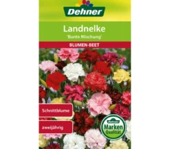 Dehner Samen Landnelke 'Bunte Mischung'