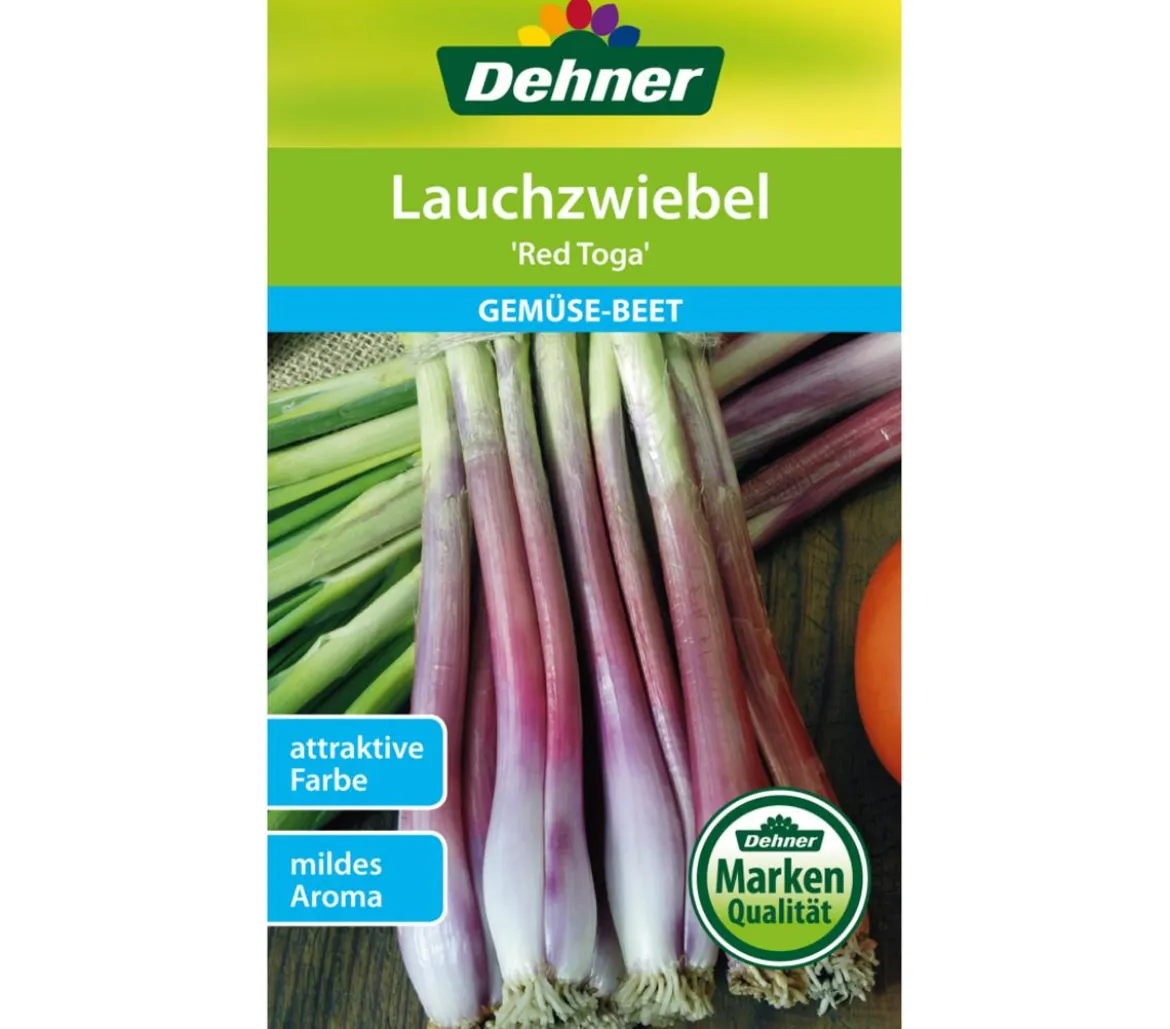 Dehner Samen Lauchzwiebel 'Toga'