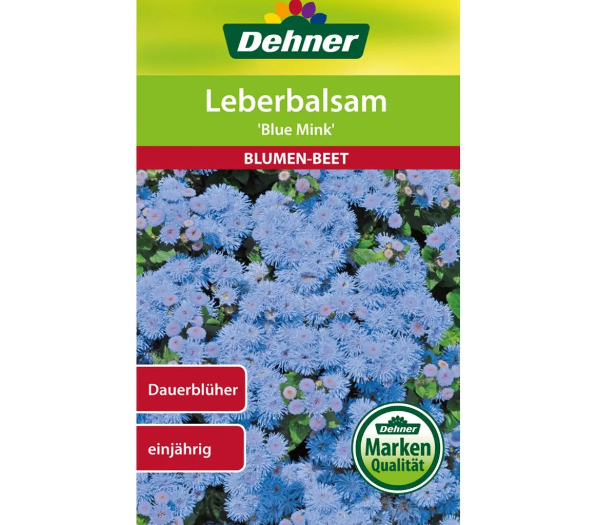 Dehner Samen Leberbalsam 'Blue Mink'