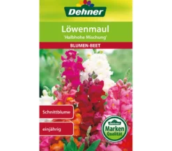 Dehner Samen Löwenmaul 'Halbhohe Mischung'