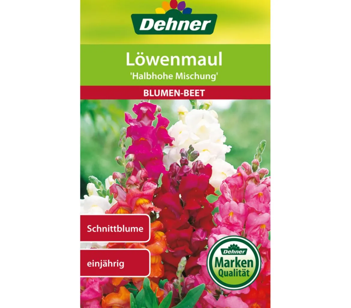 Dehner Samen Löwenmaul 'Halbhohe Mischung'