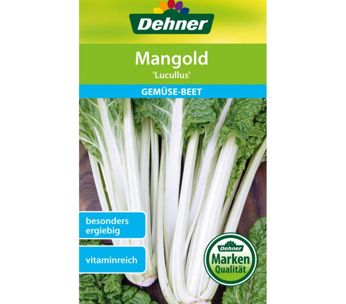 Dehner Samen Mangold 'Lucullus'
