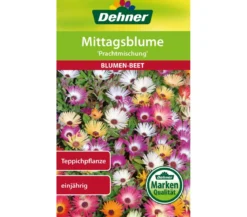 Dehner Samen Mittagsblume 'Prachtmischung'