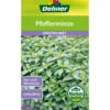 Dehner Samen Pfefferminze