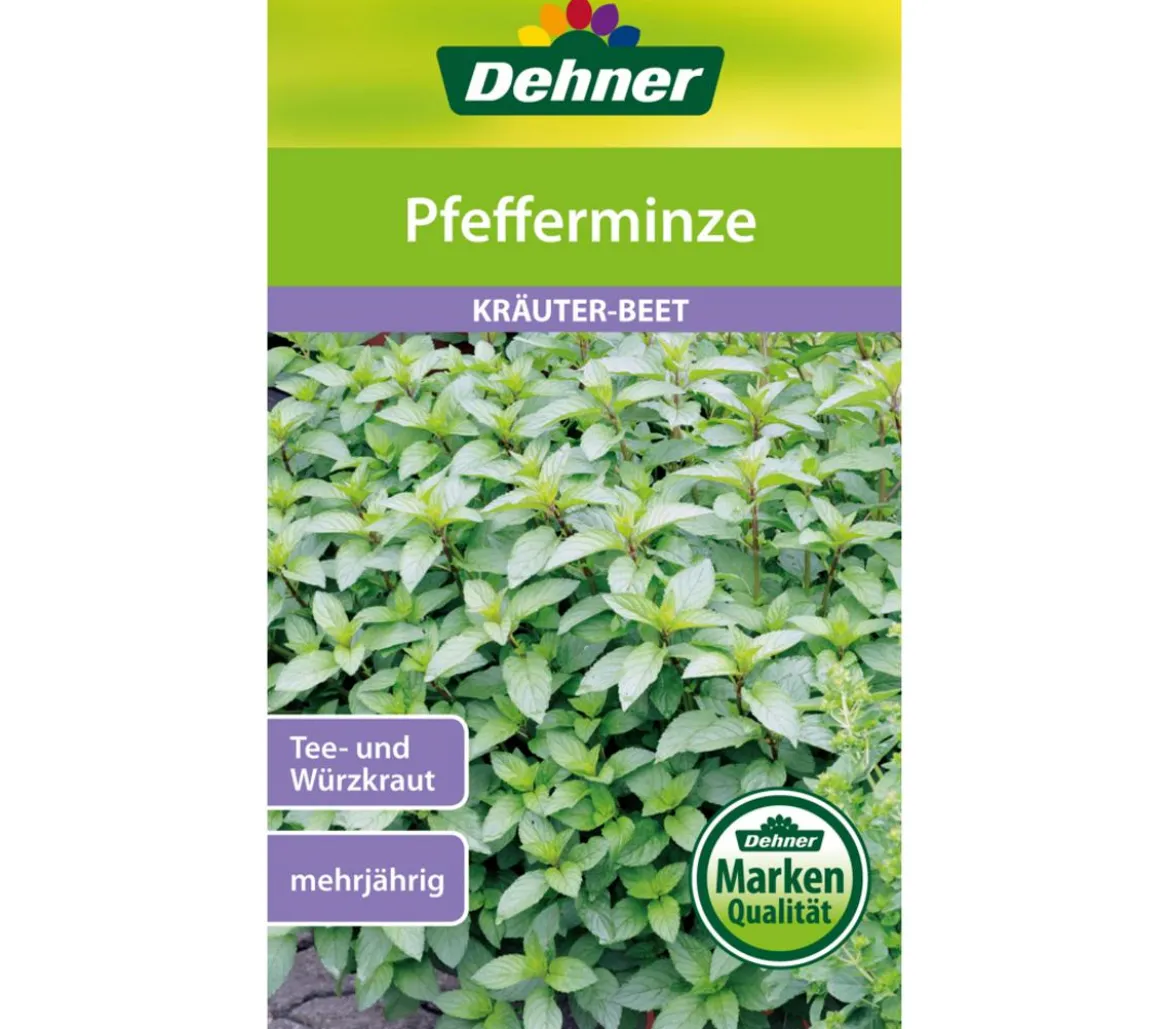Dehner Samen Pfefferminze