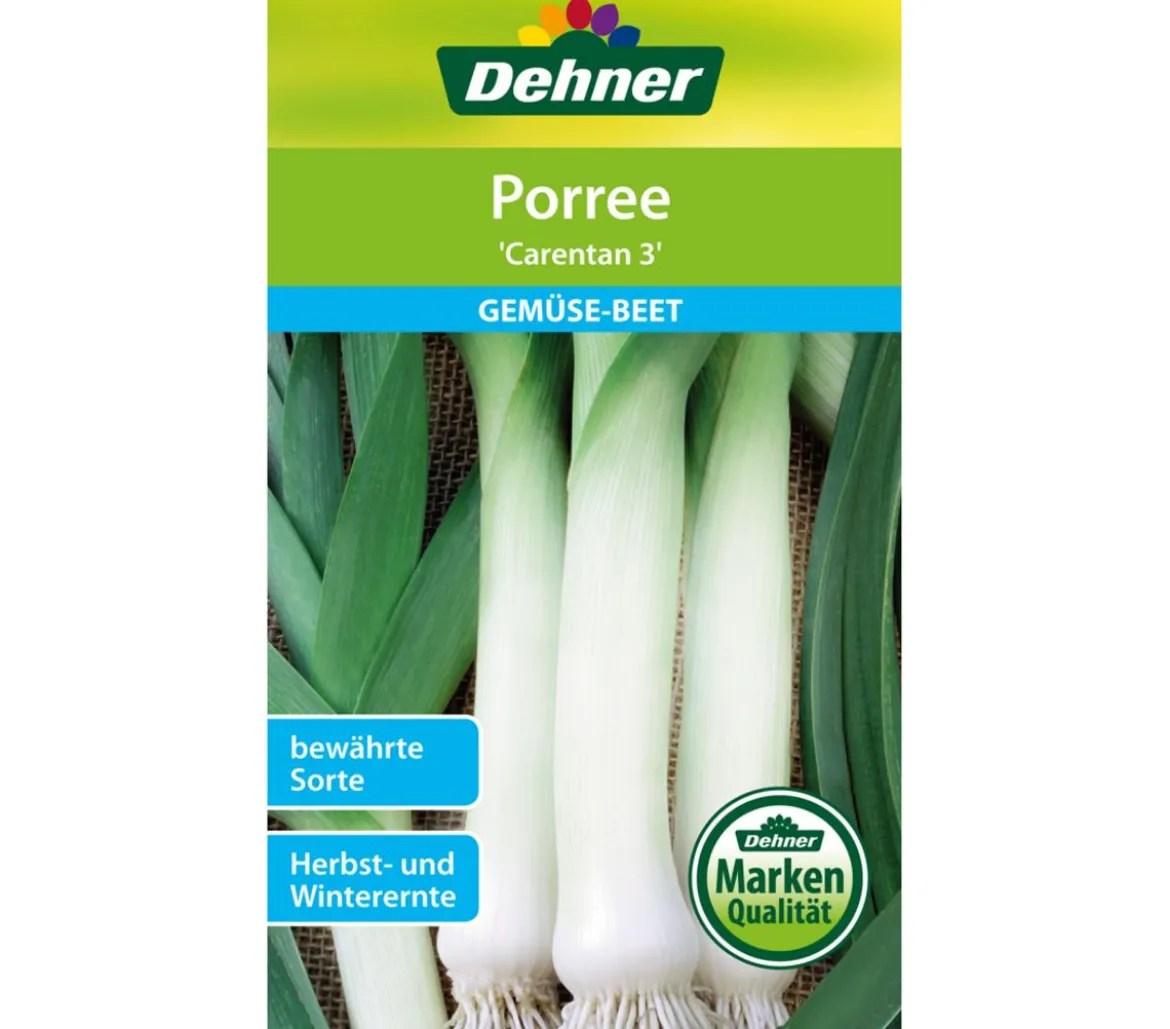 Dehner Samen Porree 'Carentan 3'
