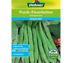 Dehner Samen Prunk-/Feuerbohne 'Preisgewinner'