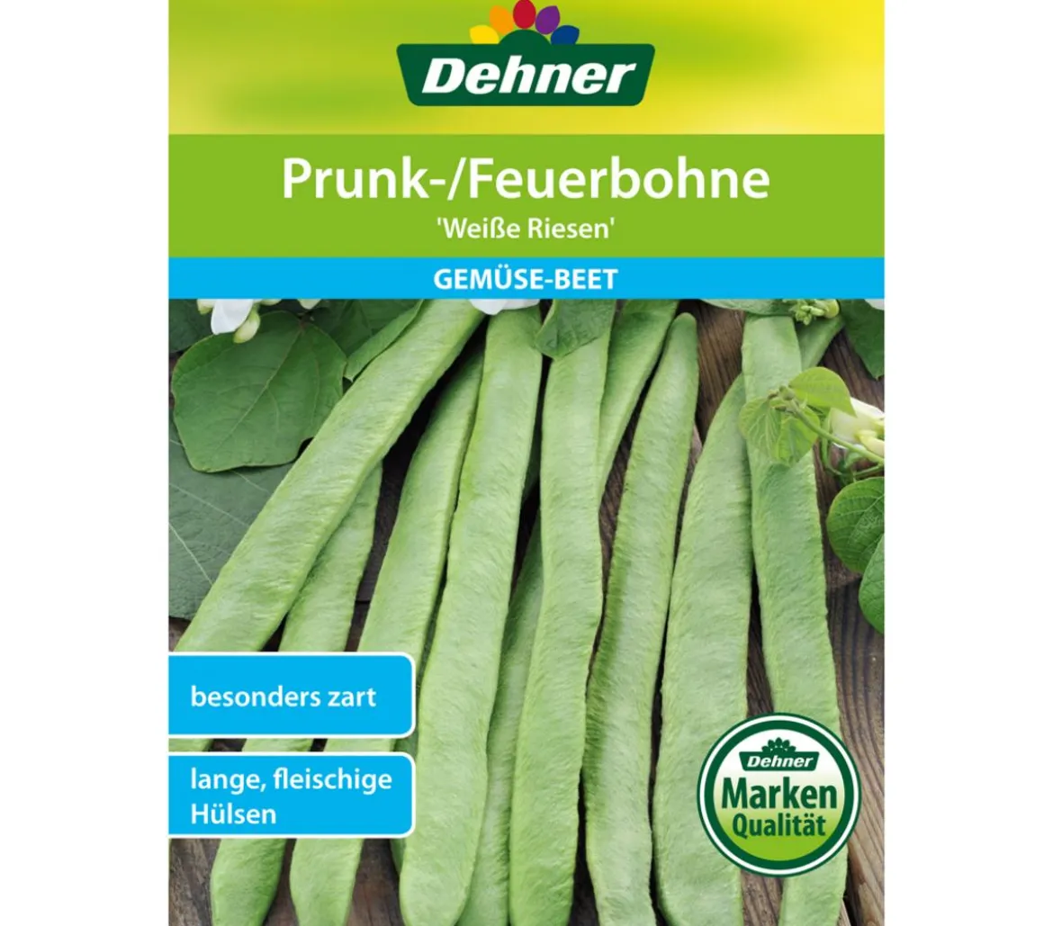 Dehner Samen Prunk-/Feuerbohne 'Weiße Riesen'