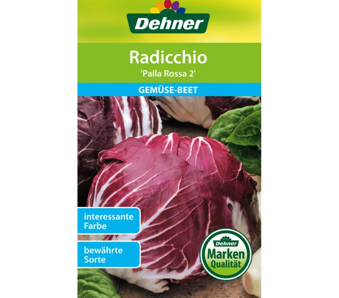 Dehner Samen Radicchio 'Palla Rossa 2'