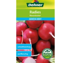 Dehner Samen Radies 'Riesenbutter'