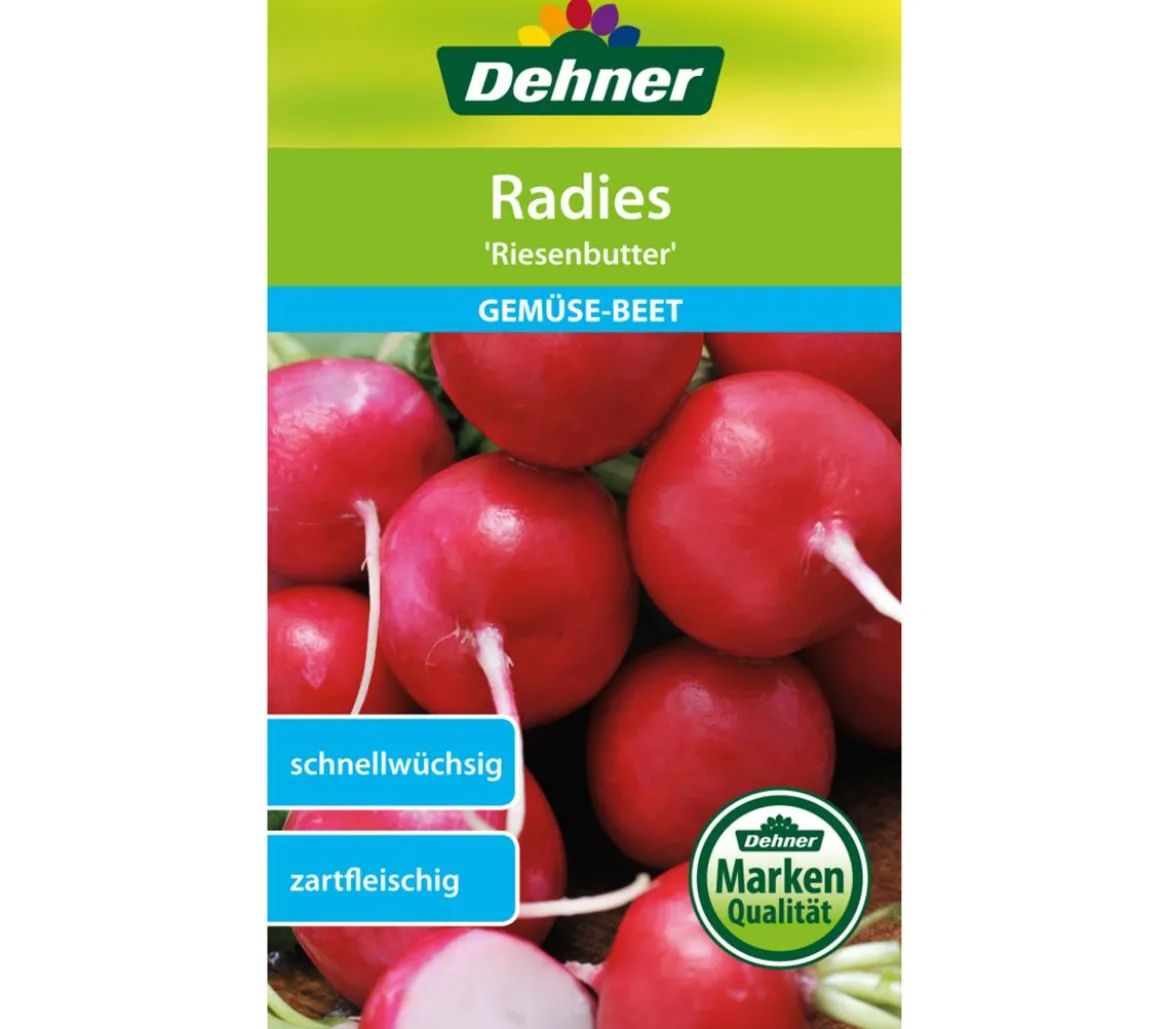 Dehner Samen Radies 'Riesenbutter'