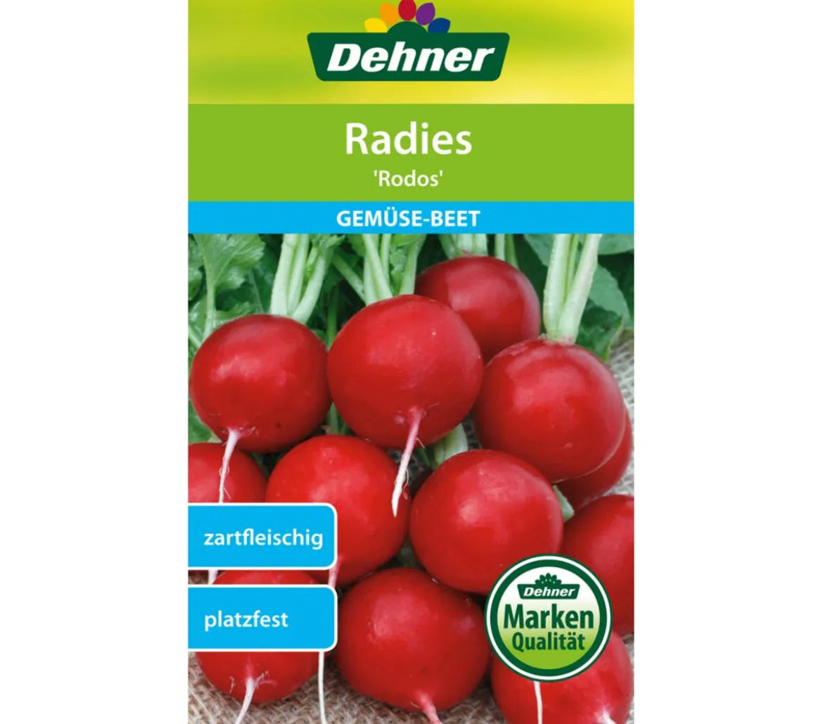 Dehner Samen Radies 'Rodos'