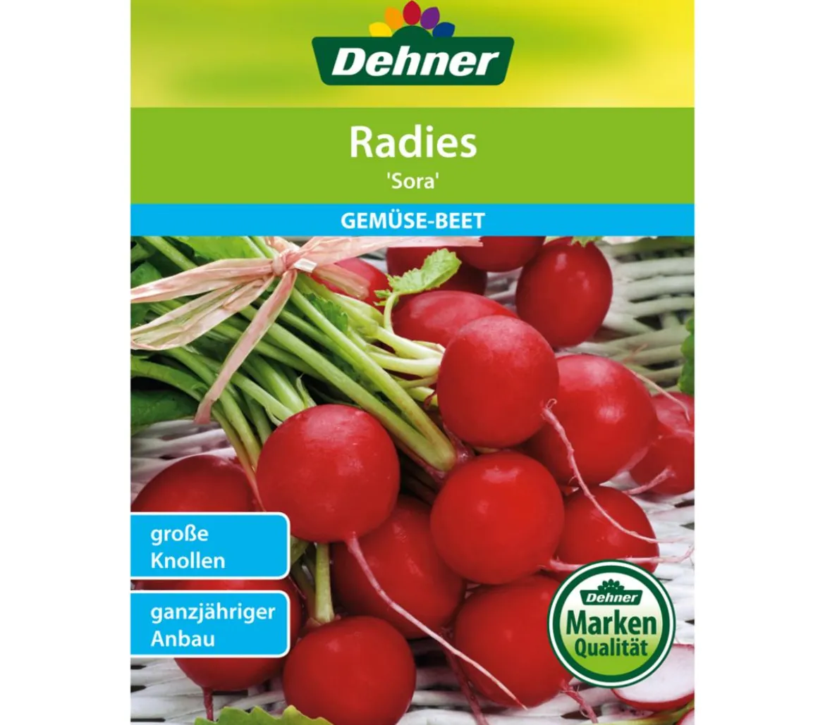 Dehner Samen Radies 'Sora'