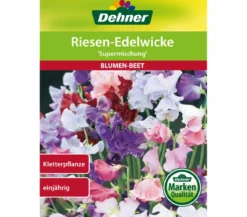 Dehner Samen Riesen-Edelwicke 'Supermischung'