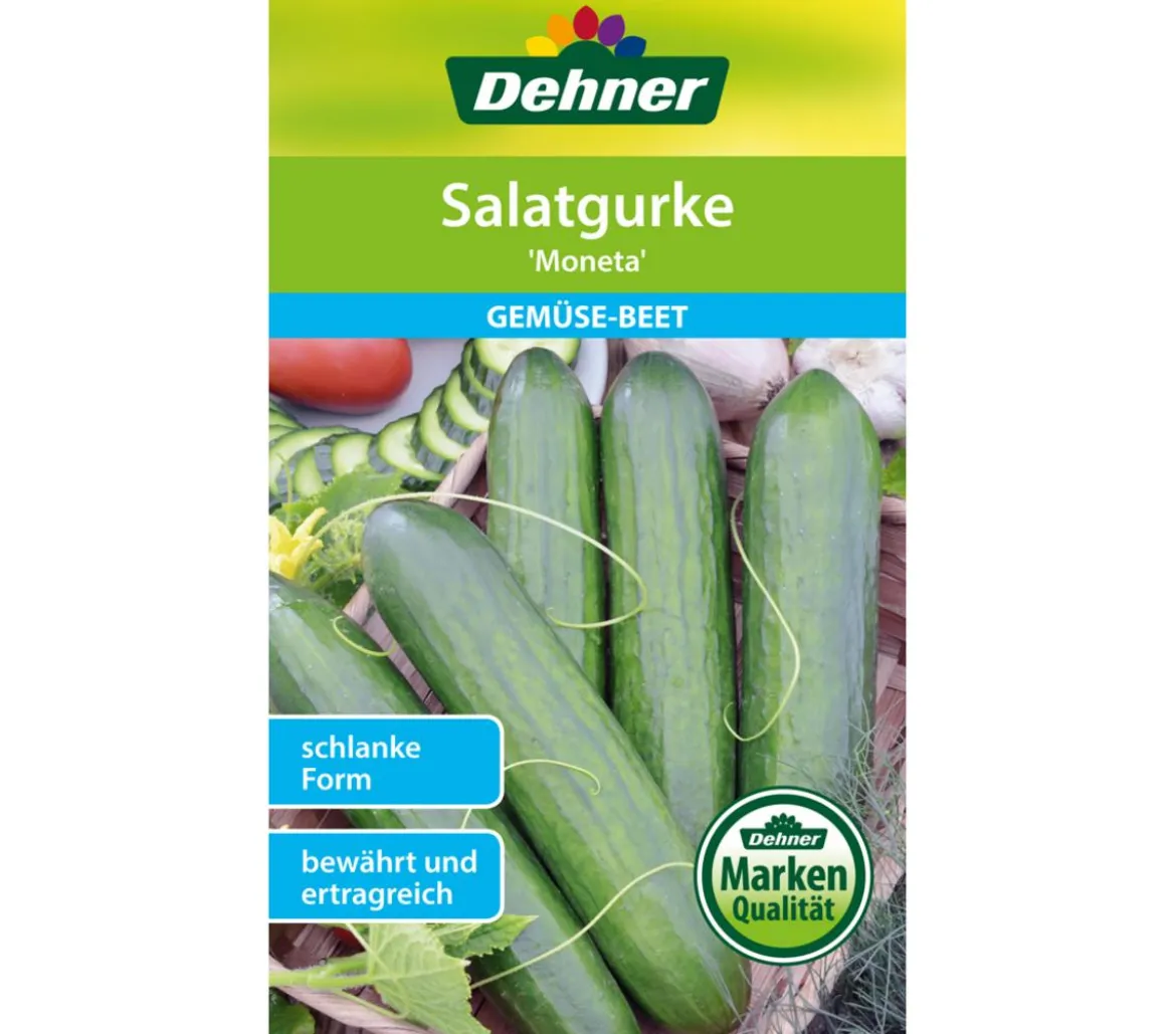 Dehner Samen Salatgurke 'Moneta'