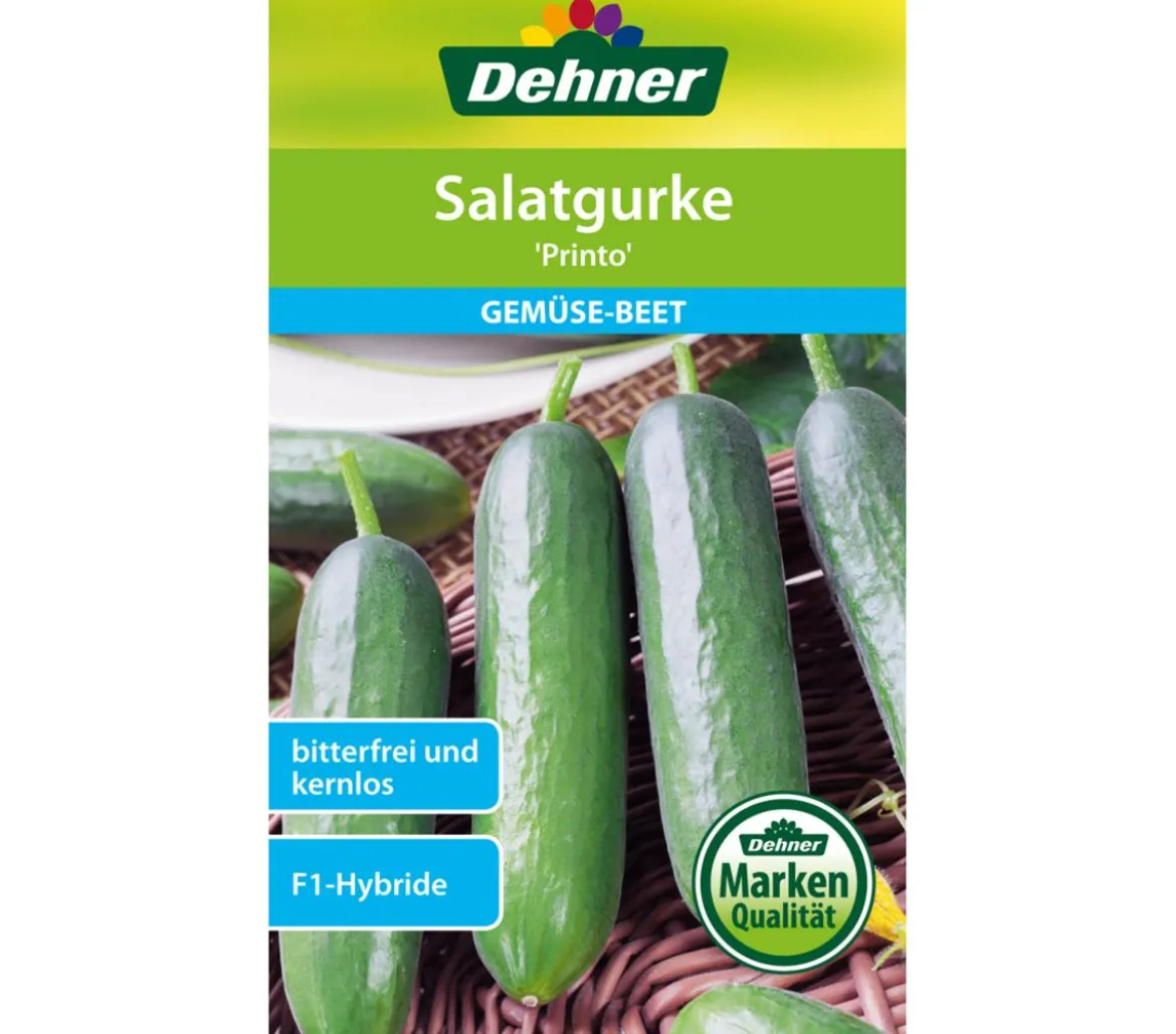 Dehner Samen Salatgurken 'Printo'