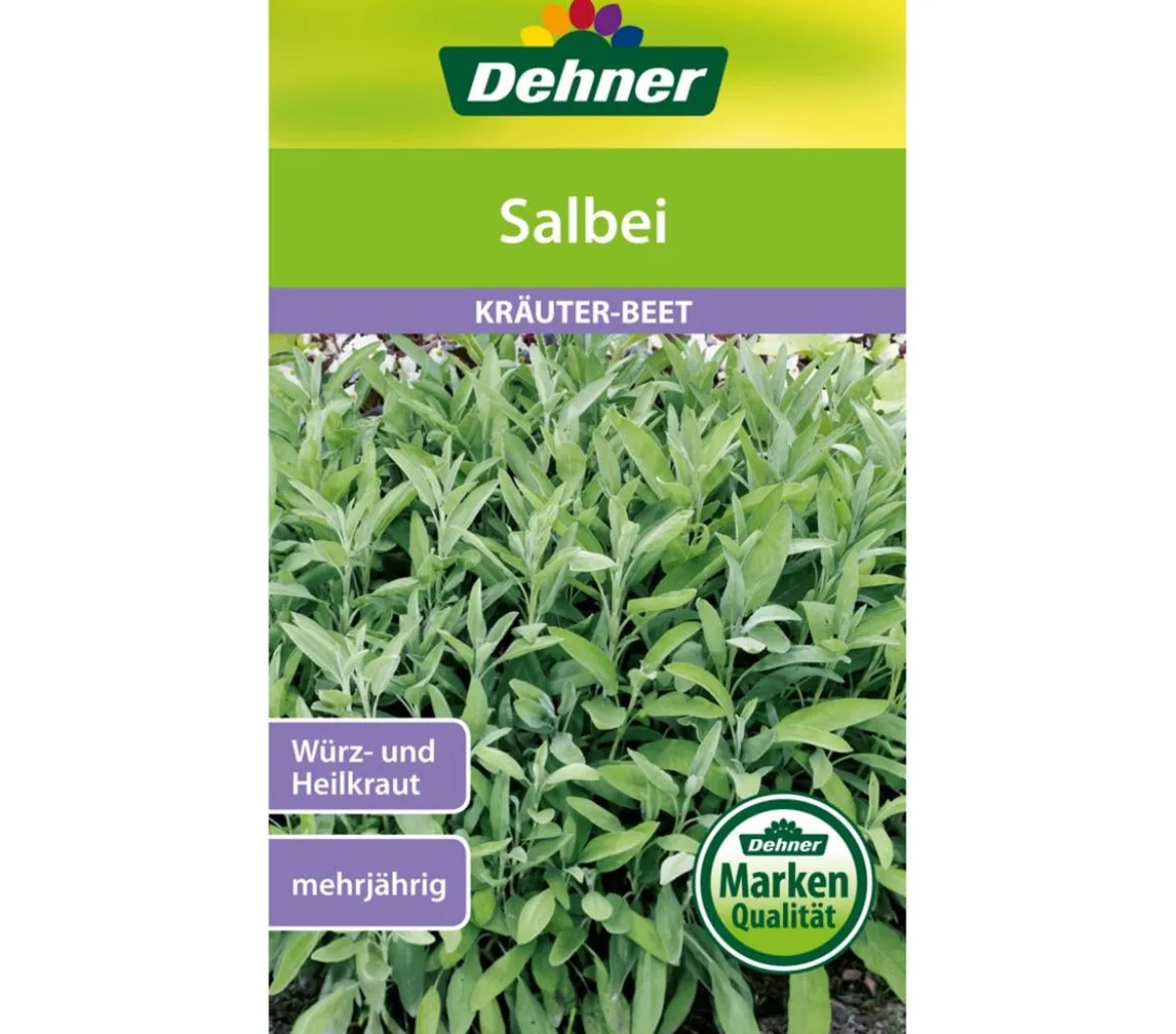 Dehner Samen Salbei