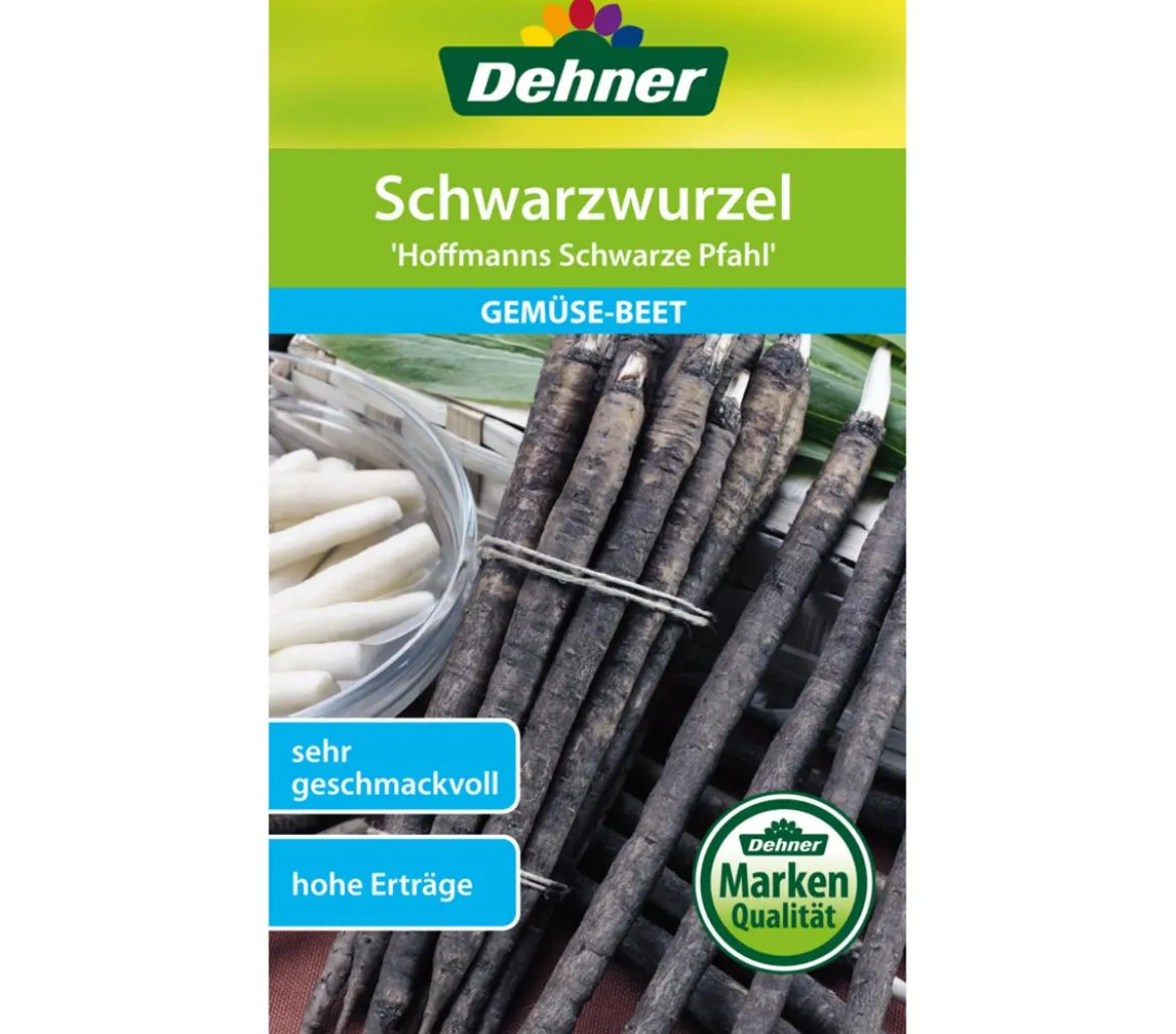 Dehner Samen Schwarzwurzel 'Hoffmanns schwarze Pfahl'