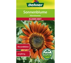 Dehner Samen Sonnenblume 'Abendsonne'