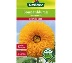 Dehner Samen Sonnenblume 'Goldener Ball'