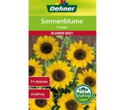 Dehner Samen Sonnenblume 'Soraya'