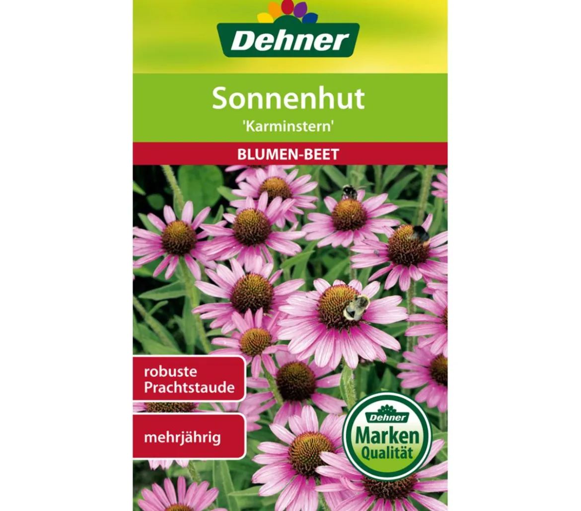 Dehner Samen Sonnenhut 'Karminstern'