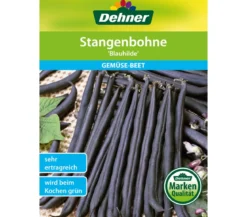 Dehner Samen Stangenbohne 'Blauhilde'