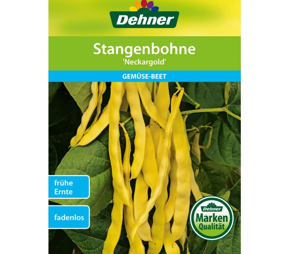 Dehner Samen Stangenbohnen 'Neckargold'