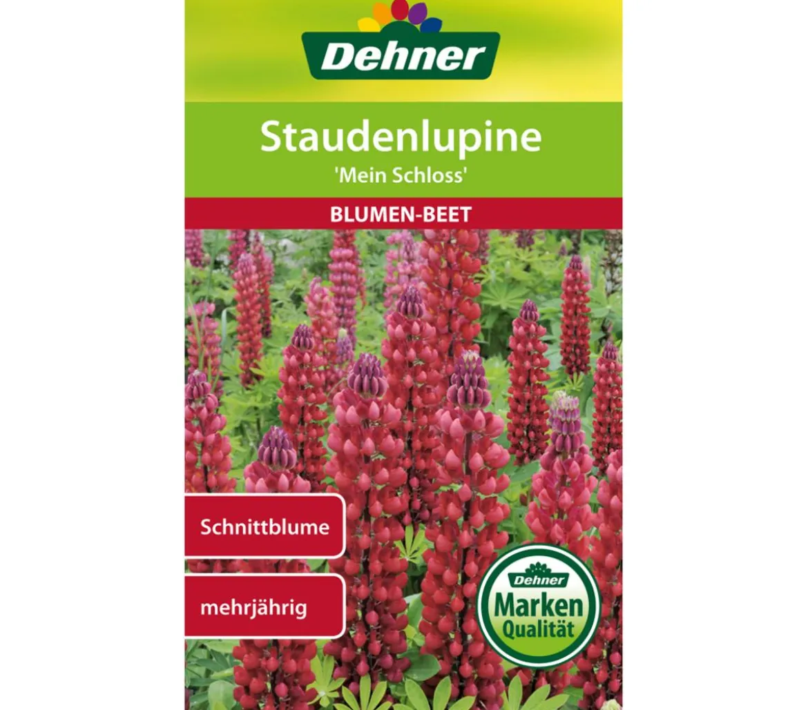 Dehner Samen Staudenlupine 'Mein Schloss'