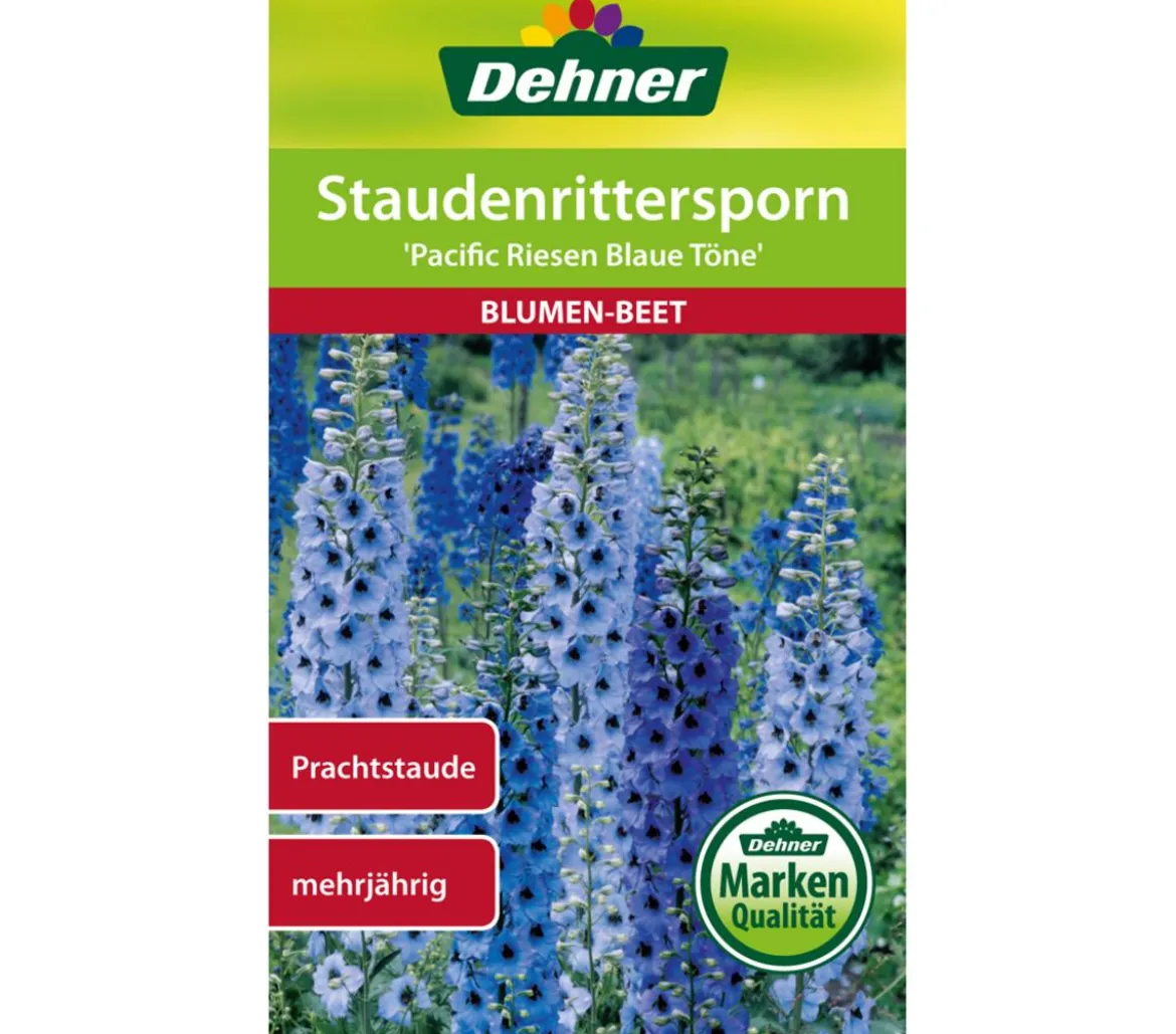 Dehner Samen Staudenrittersporn 'Pacific Riesen Blaue Töne'