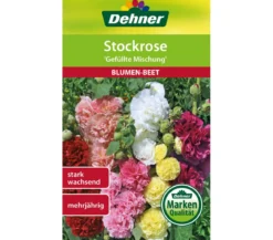Dehner Samen Stockrose 'Gefüllte Mischung'