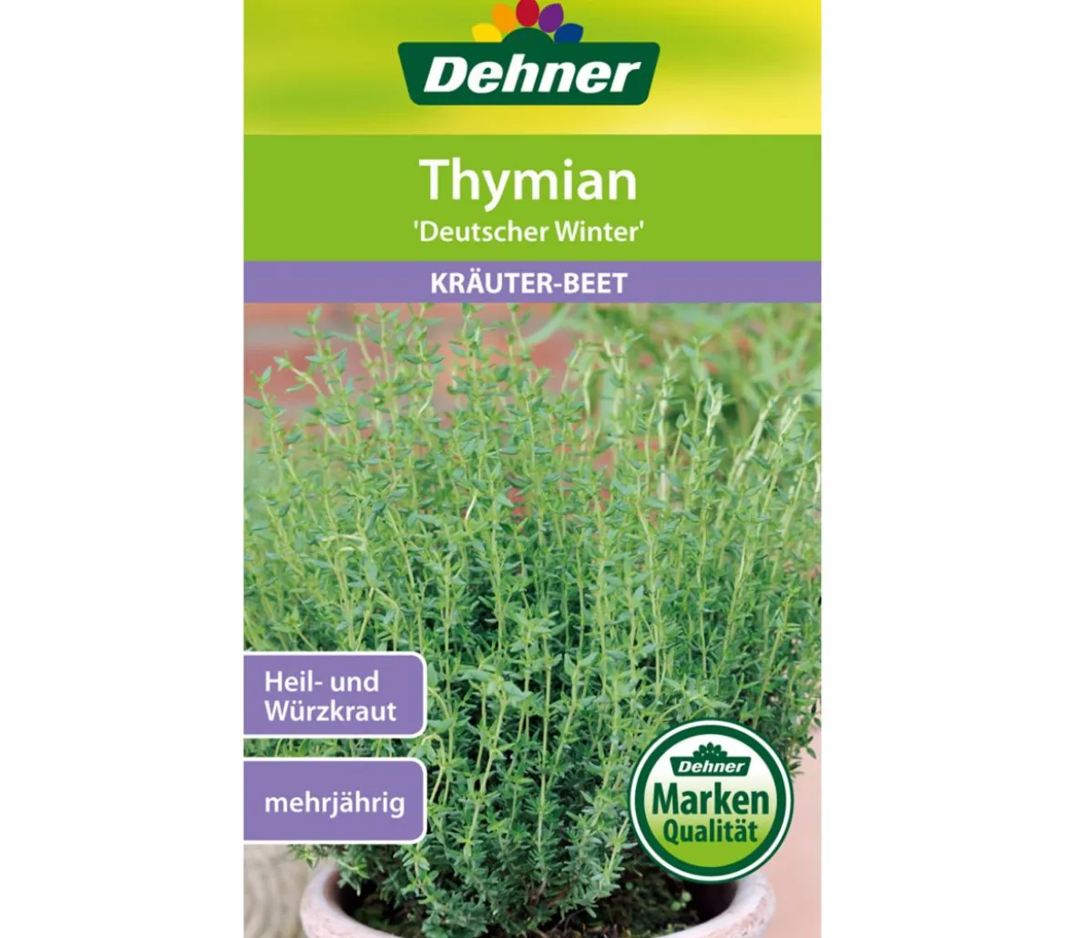 Dehner Samen Thymian 'Deutscher Winter'