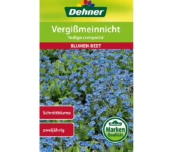 Dehner Samen Vergißmeinnicht 'Indigo compacta'