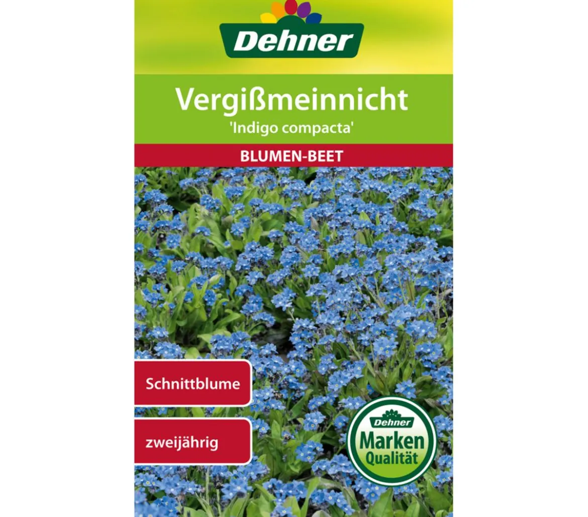 Dehner Samen Vergißmeinnicht 'Indigo compacta'
