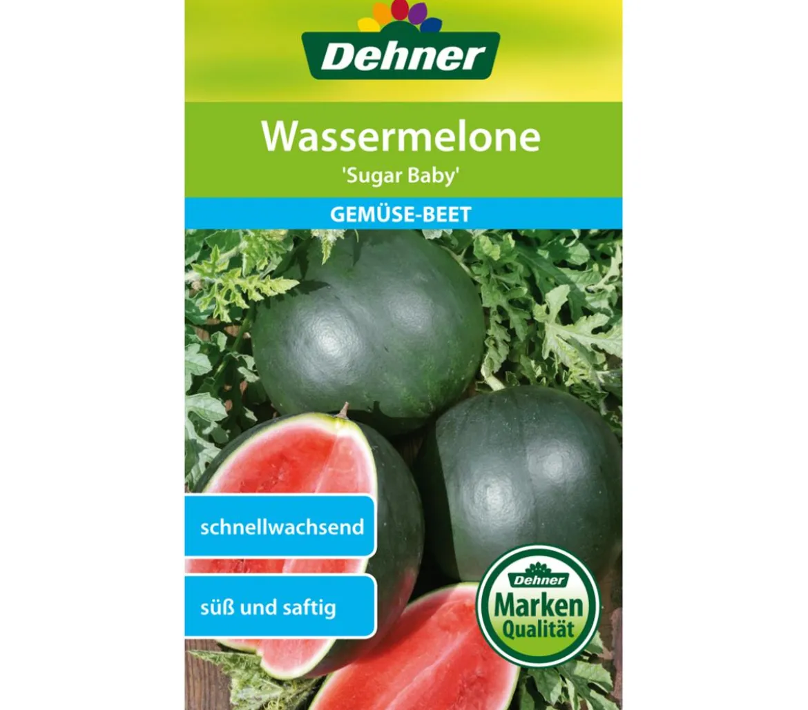 Dehner Samen Wassermelone 'Sugar Baby'