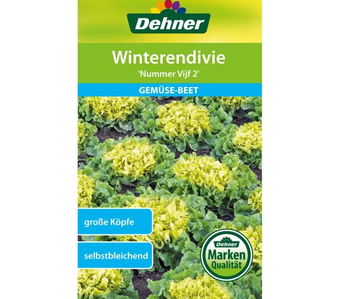 Dehner Samen Winterendivie 'Nummer Vijf 2'