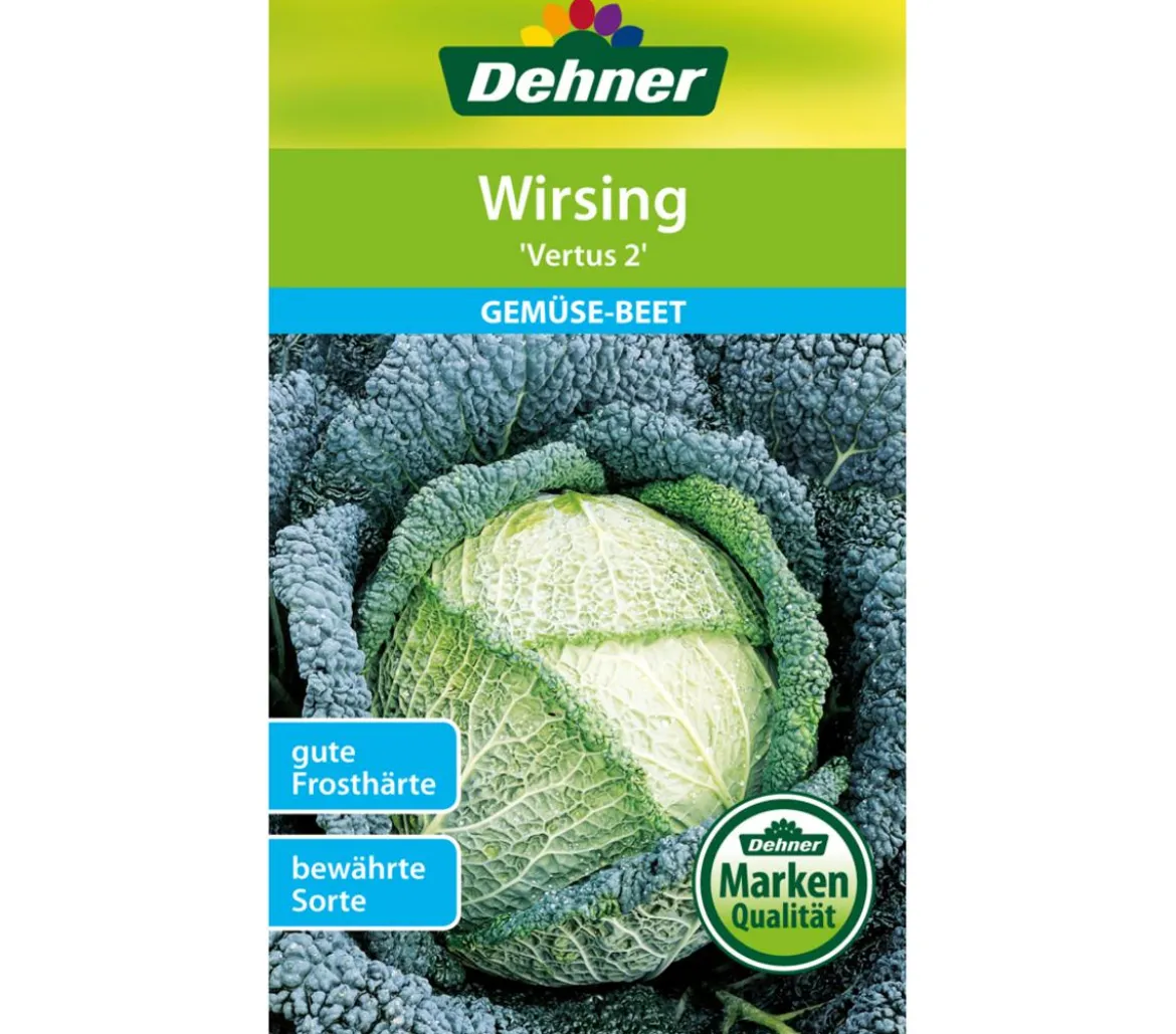 Dehner Samen Wirsing 'Vertus 2'