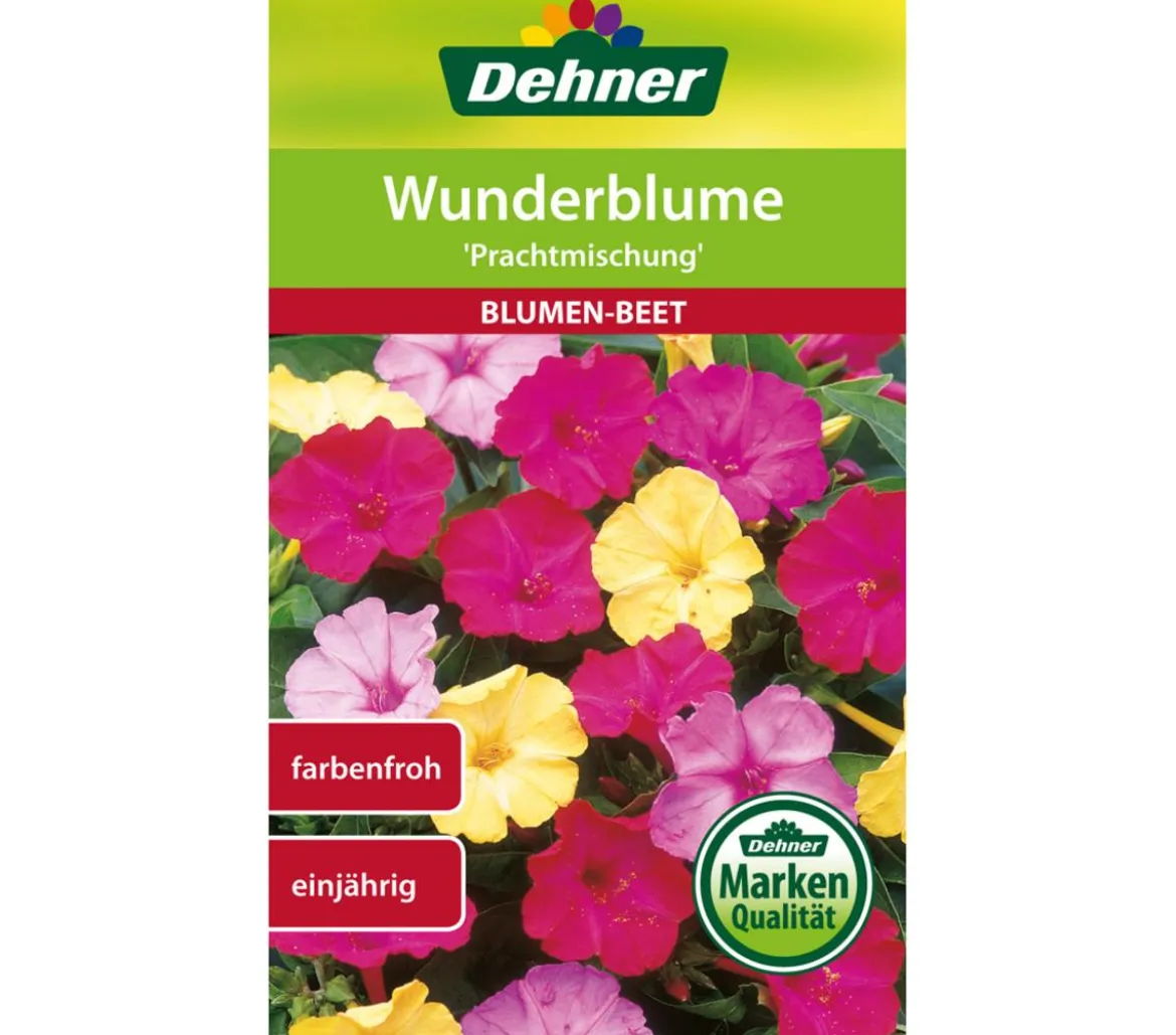 Dehner Samen Wunderblume 'Prachtmischung'