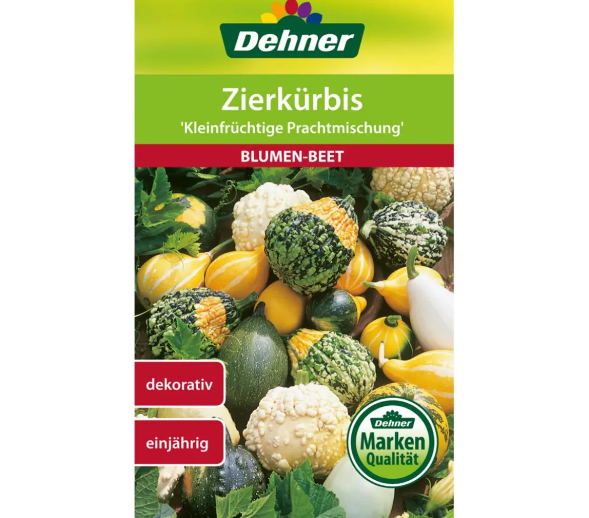Dehner Samen Zierkürbis 'Kleinfrüchtige Prachtmischung'