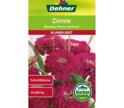 Dehner Samen Zinnie 'Benarys Riesen weinrot'