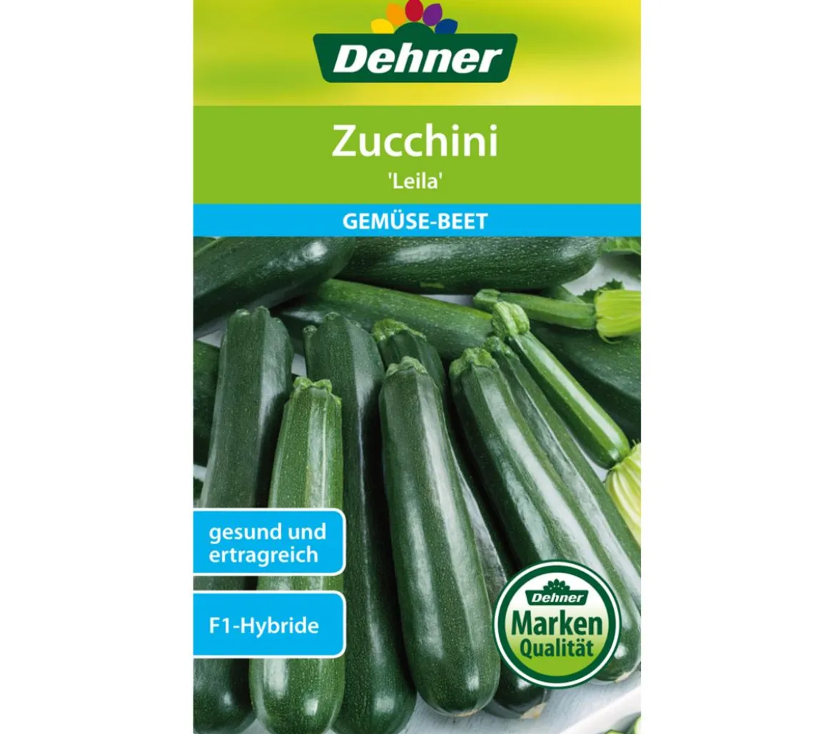 Dehner Samen Zucchini 'Leila'