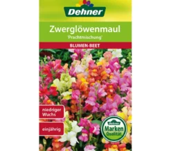 Dehner Samen Zwerglöwenmaul 'Prachtmischung'