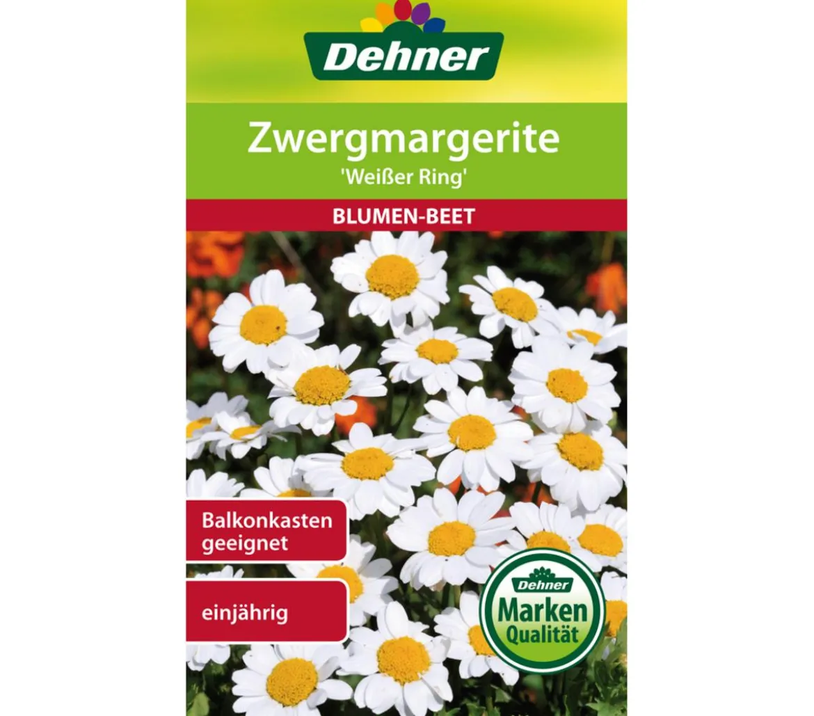 Dehner Samen Zwergmargerite 'Weißer Ring'