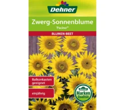 Dehner Samen Zwerg-Sonnenblume Pacino