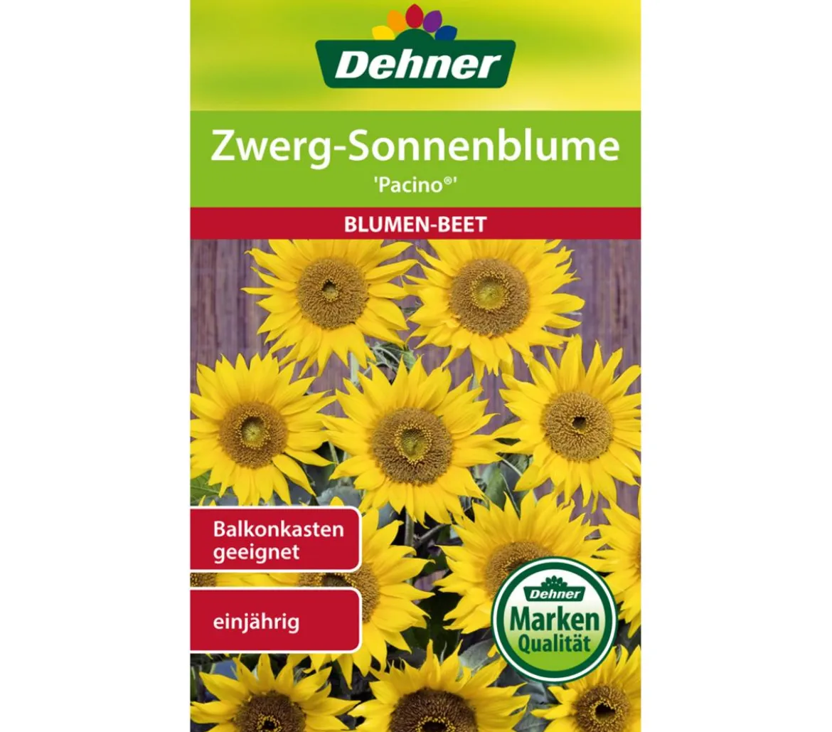 Dehner Samen Zwerg-Sonnenblume Pacino