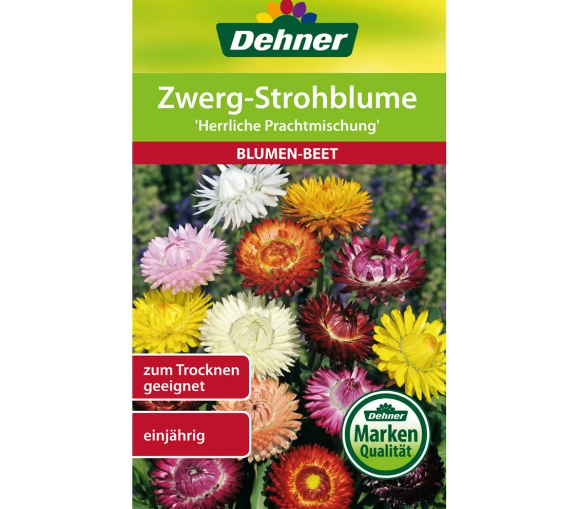 Dehner Samen Zwerg-Strohblume 'Herrliche Prachtmischung'