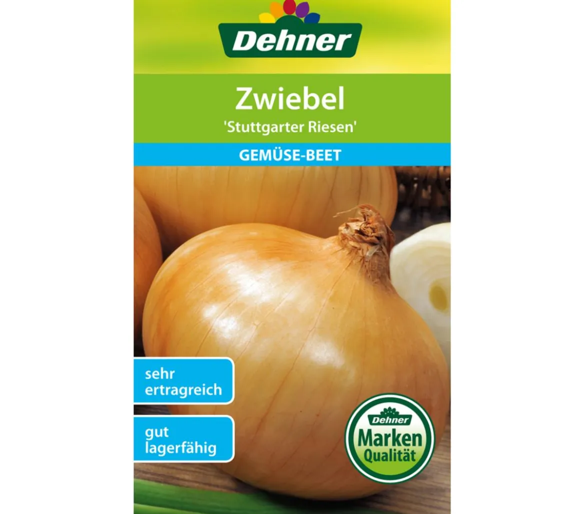 Dehner Samen Zwiebel 'Stuttgarter Riesen'