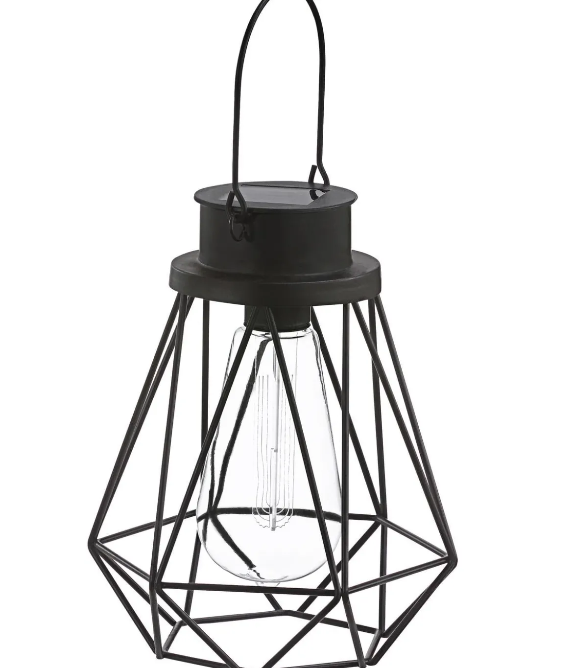 Dehner Solar-Drahtglühbirne Blackora, ca. Ø16/H20 cm